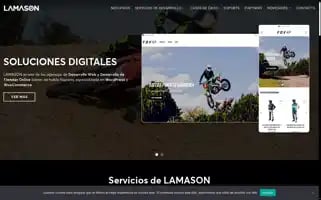 Lamasonagency.com Screenshot 2024-06-15 17:23:58