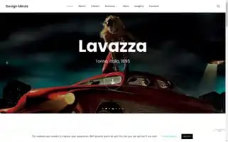 Designminds.ie Screenshot 2024-06-13 01:44:53