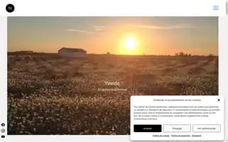 Tinedo.es Screenshot 2024-06-11 09:46:43