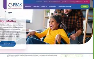 Peakparent.org Screenshot 2024-07-01 02:44:01