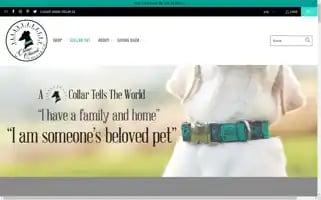 Classichound.com Screenshot 2024-05-05 01:30:18