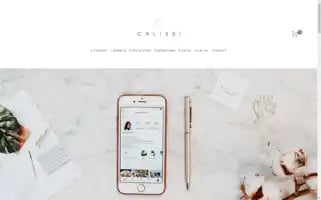 Agencecalissi.com Screenshot 2024-07-09 18:35:06