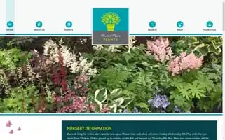 Mooreandmooreplants.co.uk Screenshot 2024-05-05 13:15:42