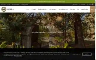 Petrilli.it Screenshot 2024-07-09 10:52:34