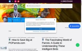 Poparrots.com Screenshot 2024-05-13 11:07:38