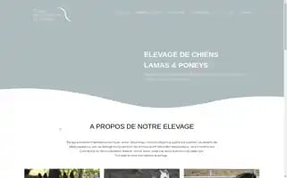 Elevagecontrefortsduvercors.fr Screenshot 2024-05-21 19:42:38