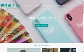 Prairieskypromotions.com Screenshot 2024-05-13 11:41:20