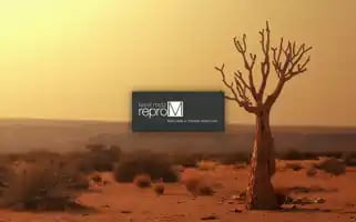 Reprom.eu Screenshot 2024-07-03 13:41:35
