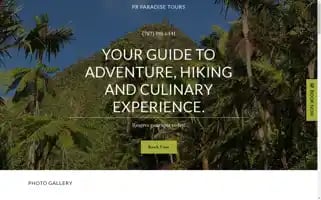 Prparadisetours.com Screenshot 2024-04-14 11:32:42