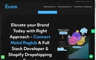 Ecomsolutionservices.com Screenshot 2024-05-28 23:12:12