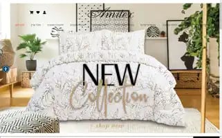 Amitex.co.il Screenshot 2024-05-20 17:29:02