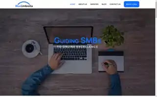Blueumbrellaventures.com Screenshot 2024-06-15 20:15:13