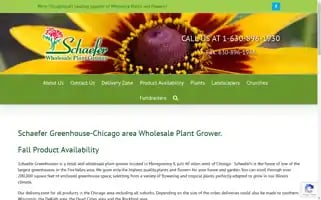 Schaeferwholesaleplantgrower.com Screenshot 2024-07-03 21:17:23