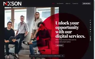 Nxson.com Screenshot 2024-06-18 16:02:43