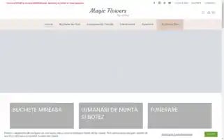 Magic-flower.ro Screenshot 2024-05-19 14:44:30