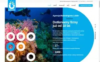 Oxy.pl Screenshot 2024-06-17 15:19:06