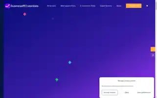 Businessitessentials.com Screenshot 2024-06-17 18:43:15