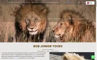 Bobjuniortours.com Screenshot 2024-04-15 00:11:12