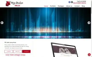 Thewebdesignninja.com Screenshot 2024-06-29 22:47:16
