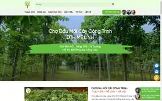 Chocaycongtrinhdth.com Screenshot 2024-05-26 14:20:35