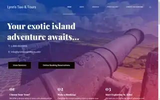 Lynnstaxiandtours.com Screenshot 2024-04-26 02:40:35