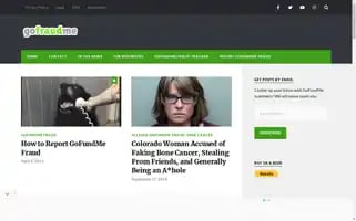 Gofraudme.com Screenshot 2024-06-13 20:19:31