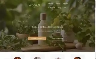 Wodancare.com Screenshot 2024-05-27 05:43:06