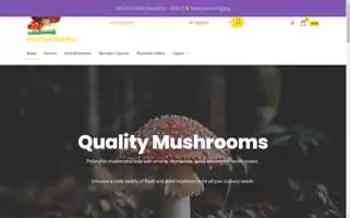 Healthypsilocybin.online Screenshot 2024-05-29 06:05:46