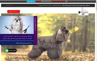 Petland99.com Screenshot 2024-07-08 09:27:35