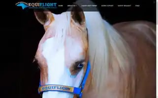 Equiflightfarms.com Screenshot 2024-04-14 11:50:53