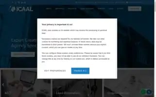 Internetconsultancy.pro Screenshot 2024-05-12 10:35:21