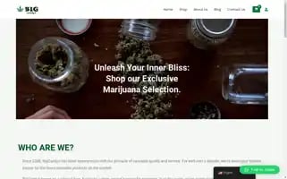 Bigcandyshop.com Screenshot 2024-05-25 16:20:38
