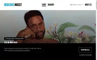 Medelhavsmuseet.se Screenshot 2024-07-02 05:10:39