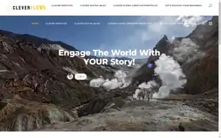 Cleverflows.com Screenshot 2024-05-21 18:44:13