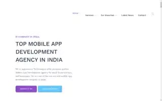 Appinnovix.com Screenshot 2024-06-24 17:43:37