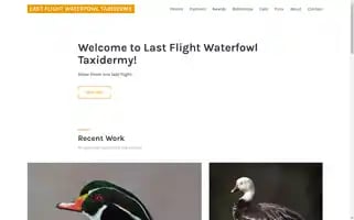 Lastflighttaxidermy.com Screenshot 2024-04-24 08:20:26