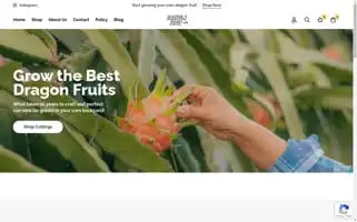 Dragonfruitcuts.com Screenshot 2024-05-29 02:54:27