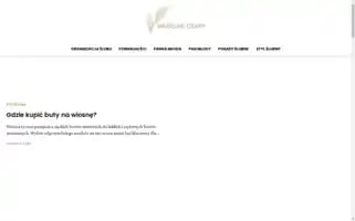 Weselneczary.pl Screenshot 2024-07-08 16:52:33