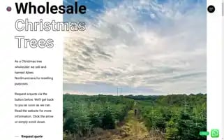 Santasnordmann.com Screenshot 2024-06-15 15:14:12