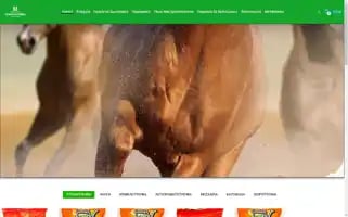 Modestobrothers.gr Screenshot 2024-05-28 01:24:02