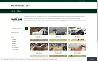 Welsh-hengsten.nl Screenshot 2024-07-03 02:41:07