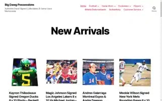 Bigdawgpossessions.com Screenshot 2024-06-12 06:53:21