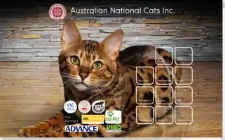 Ancats.com.au Screenshot 2024-06-18 01:44:01