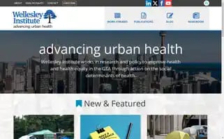 Wellesleyinstitute.com Screenshot 2024-05-15 01:19:51