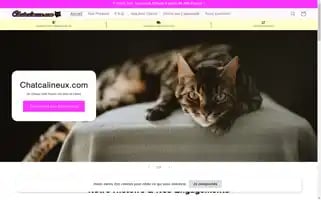 Chatcalineux.com Screenshot 2024-05-03 18:14:47
