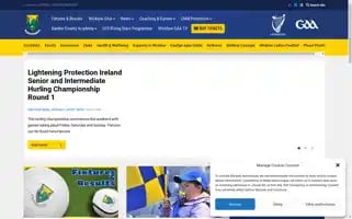 Officialwicklowgaa.ie Screenshot 2024-07-04 09:42:05