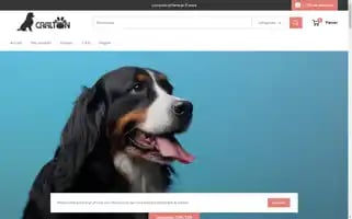 Chiensshopboutique.com Screenshot 2024-04-27 07:49:12