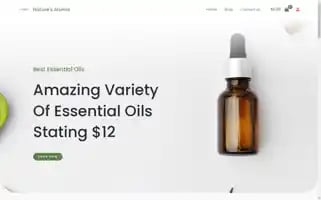 Naturesaromaoils.com Screenshot 2024-05-28 19:28:21