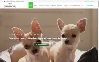 Cutechihuahuapupps.com Screenshot 2024-06-18 12:28:36