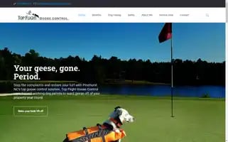 Topflightgc.com Screenshot 2024-04-26 10:36:09